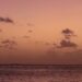 Beach with Palm Trees Meaning, Search Intent & Visual Appeal