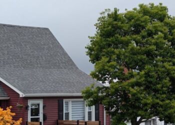 Texas Ash Tree Identification, Benefits & Landscaping Value