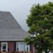 Texas Ash Tree Identification, Benefits & Landscaping Value