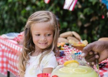 DIY Lemonade StandFun, Practical Guide to Start Business