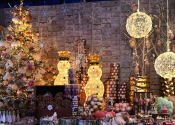 Decorated Christmas Trees