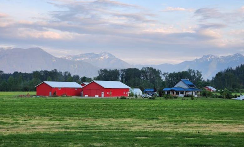 Montana Farmhouse