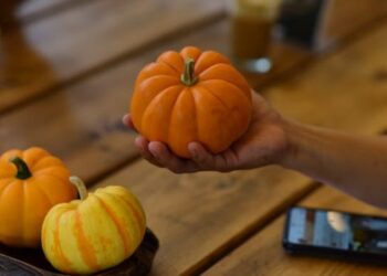 Pumpkin Succulent Centerpiece