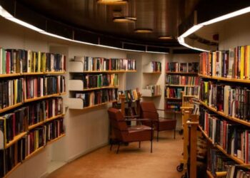 Wall Book Shelves