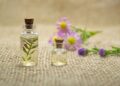 Hinoki Oil Advantages, Scent, User, and Safety Buying Guide