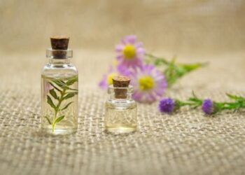 Hinoki Oil Advantages, Scent, User, and Safety Buying Guide