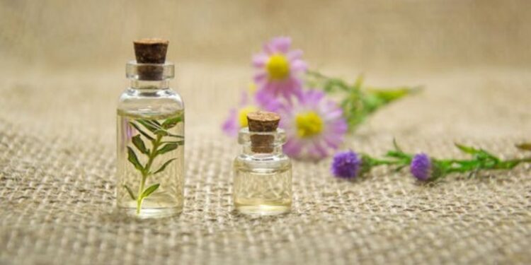 Hinoki Oil Advantages, Scent, User, and Safety Buying Guide