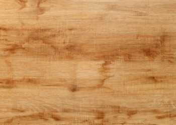 Wormy Maple Wood value, Uses, completion, and Buyer Guide