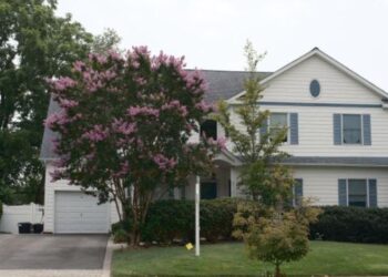Crepe Myrtle Sioux