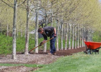 Dark Brown Mulch