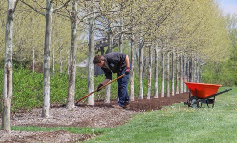 Dark Brown Mulch