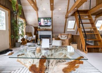 Glass and Wood Coffee Table