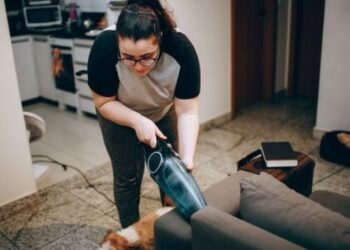 How to Get Pee Smell Out of a Couch Fresh & Dried Urine (1)